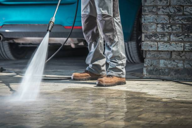 Best Soft Washing  in Williston Park, NY